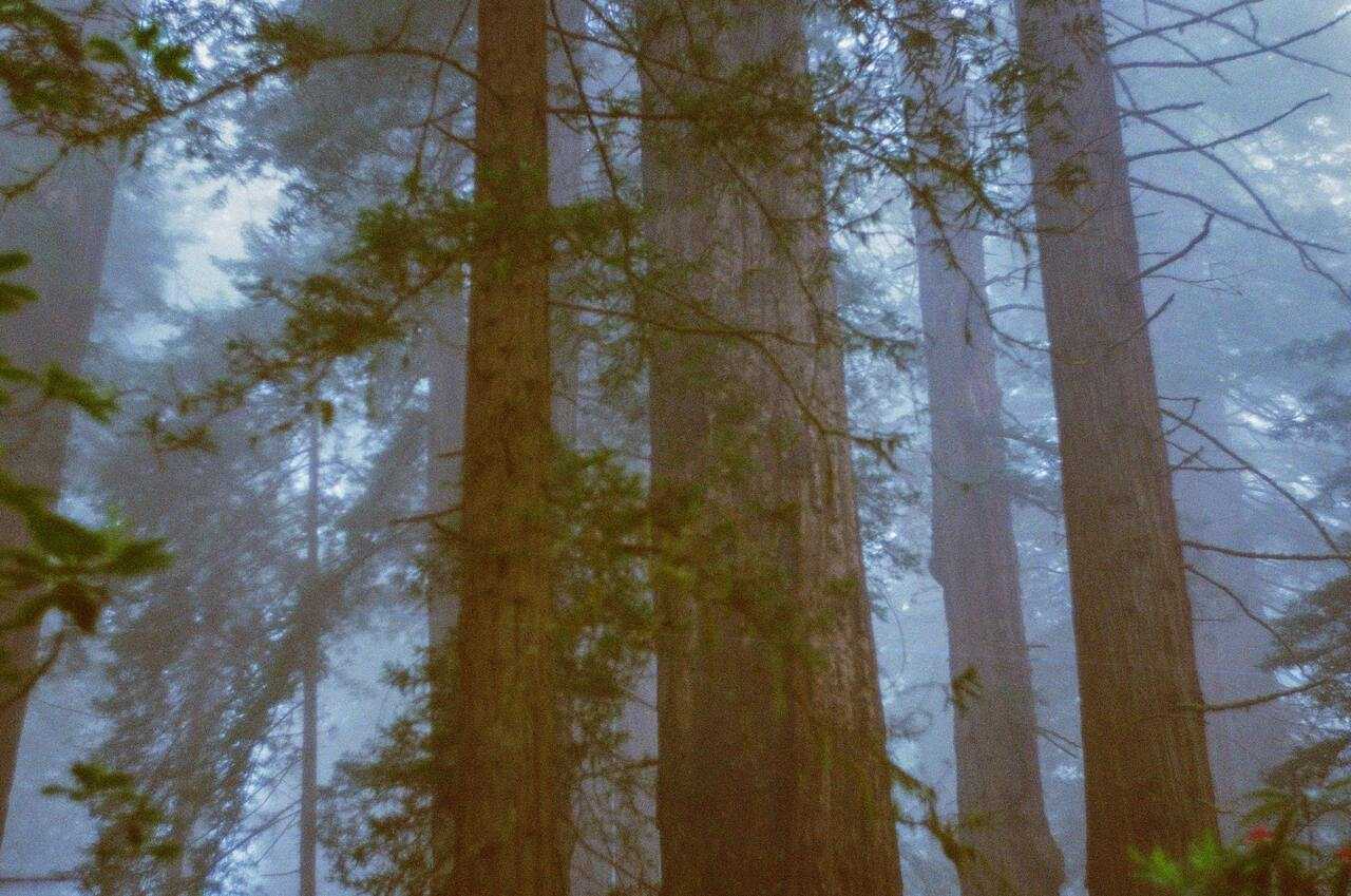 404